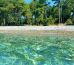 Pine beach Гостевой дом 1